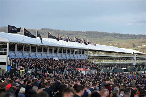 ladbrokes cheltenham festival offers|Cheltenham Festival odds: Day 1 Champion Day betting tips.